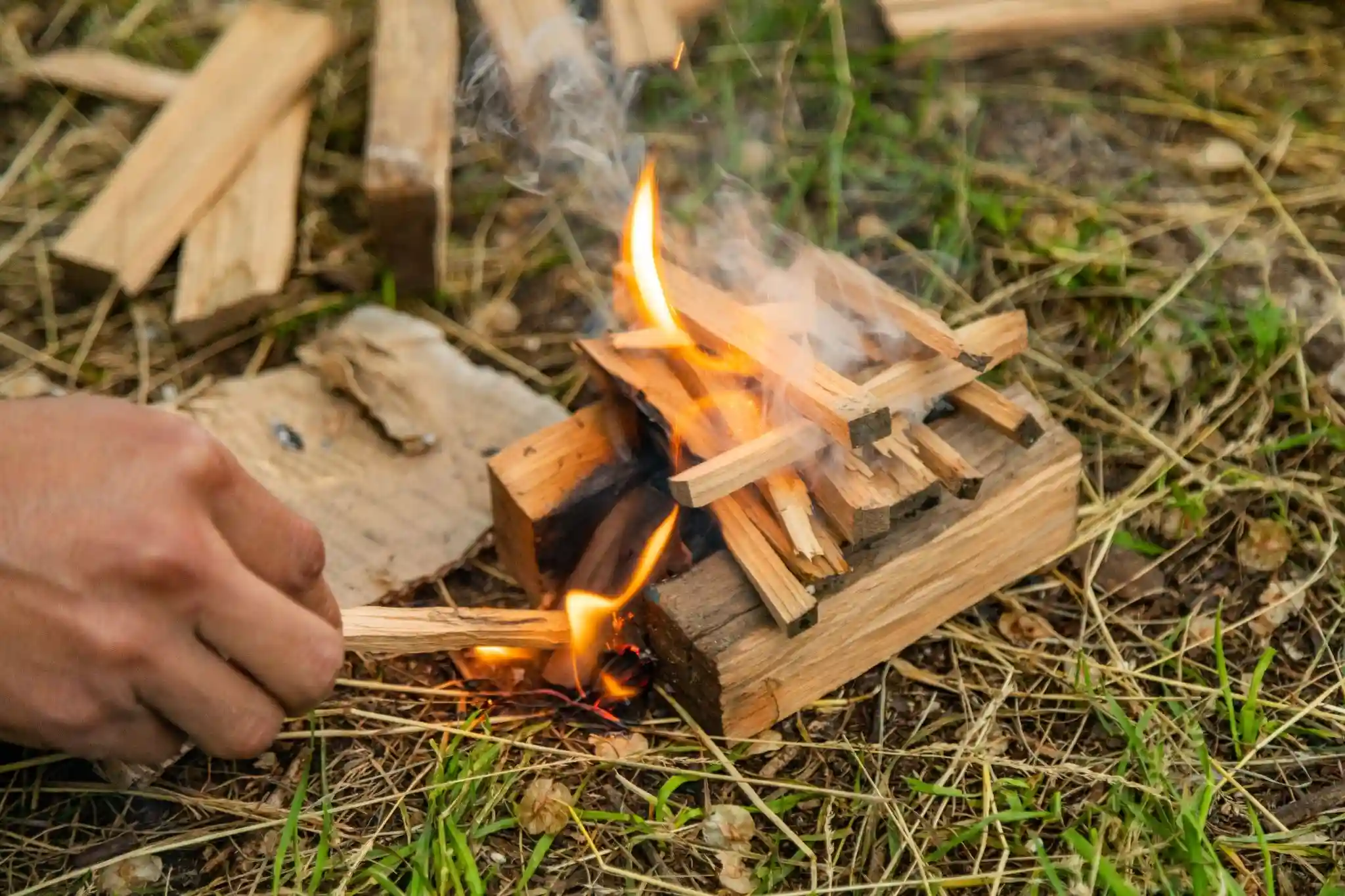 Bushcraft für Anfänger: Survival-Skills & Wildnis-Tipps